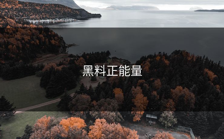黑料正能量