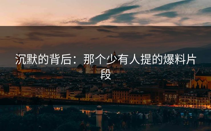 沉默的背后:那个少有人提的爆料片段 沉默的背后:那个少有人提的爆料片段
