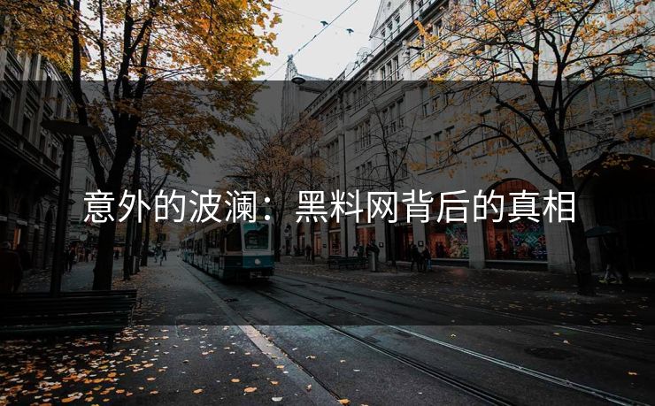 意外的波澜：黑料网背后的真相